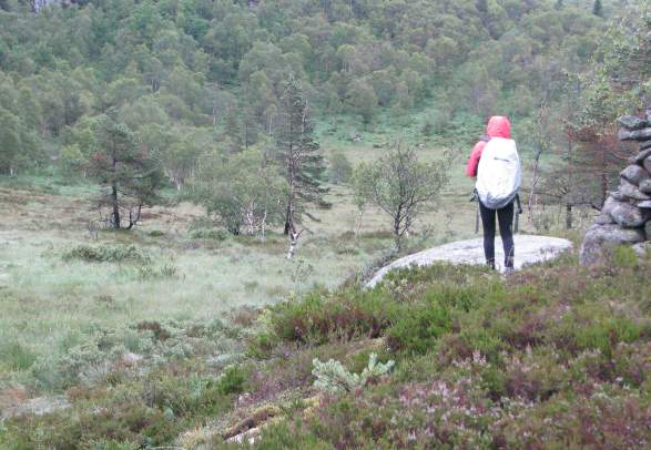 The Child Wanderer Path in Southern Norway