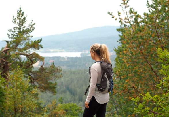 Hike Barlindåsen Ridge