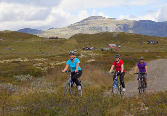 Fietstocht Bergsjøområdet Ål in Hallingdal