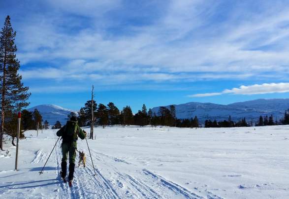 Ice fishing in Skjækra