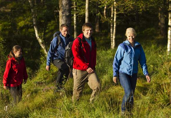 Guided walking tour of Fløyen for groups