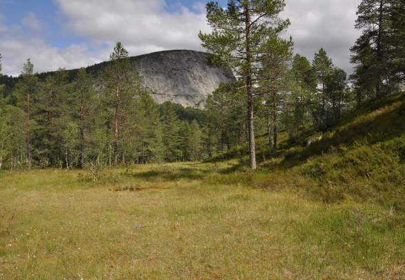 Kvisletoppen - round trip 5 km