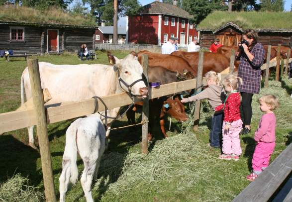 Anno The Glomdal Museum