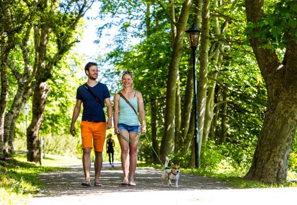 Kringsjå/Vanndammene - hiking