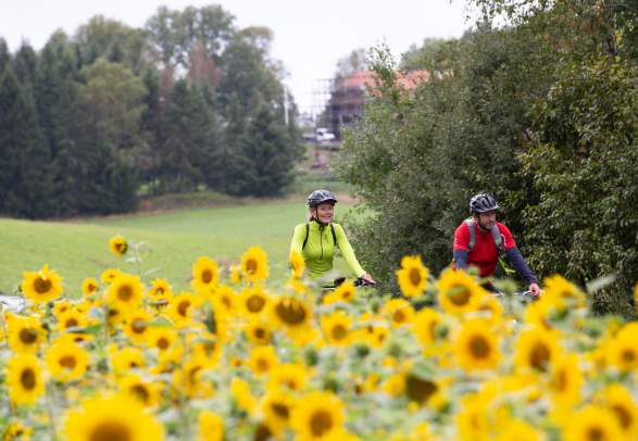 Cycle the Unionsleden