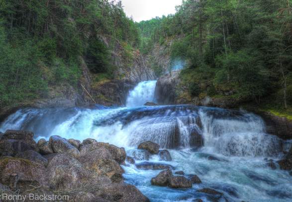 Kongevegen. Hestnes - Olavskjelda - Årøy