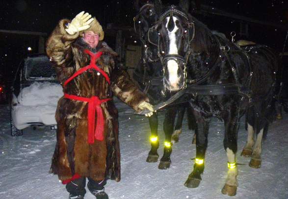 Horse drawn sleigh Ål in Hallingdal