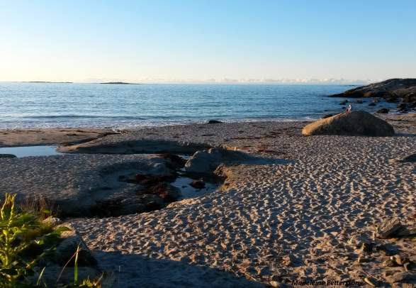Roppesanden beach at Flø