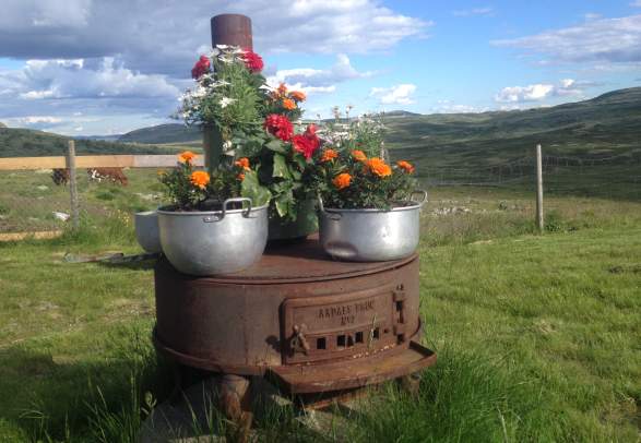 Fagerdalen Summer Farm