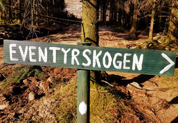 The Fairytale Forest