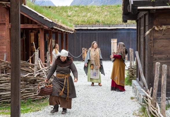 Viking Village Njardarheimr