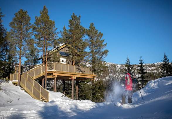Himmelhøy Tree Top Cabin