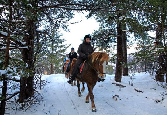 Horseback riding winter - Geilo Hestesenter