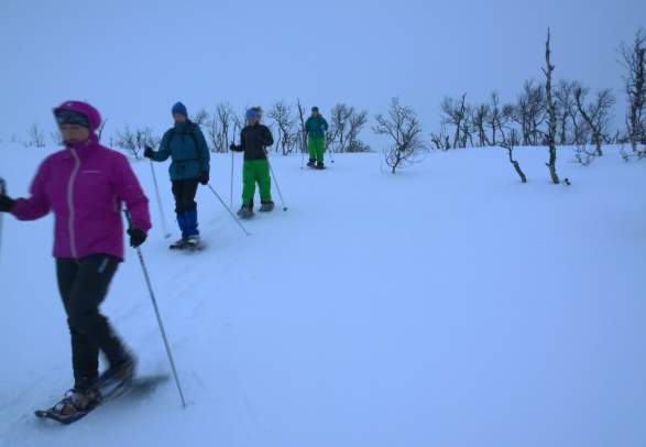 Snowshoeing trip with guide - Geilo Aktiv