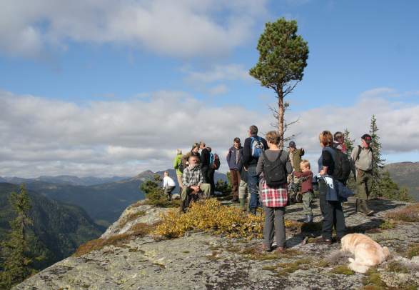 Promenade dans les bois ou les landes