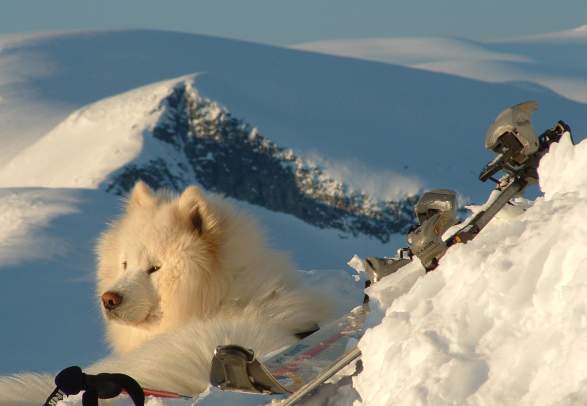 Fimbul - Guided mountain walks
