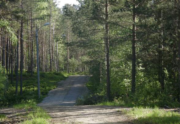 Evje lysløype 8,6 km