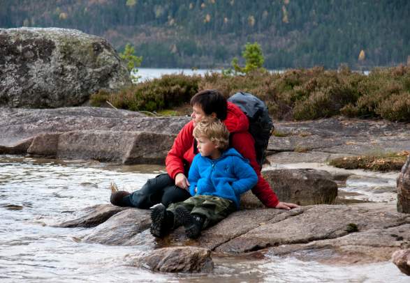 Røyrodden, Treungen