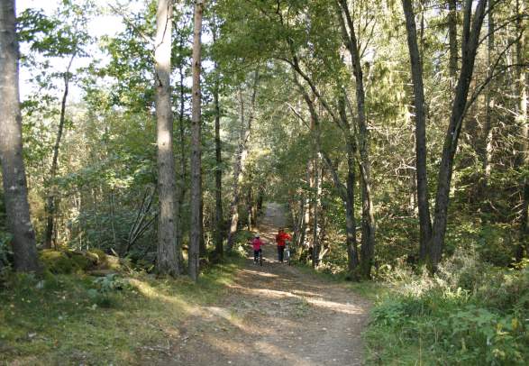 Well lit trail at Asdal Lunderød near Arendal