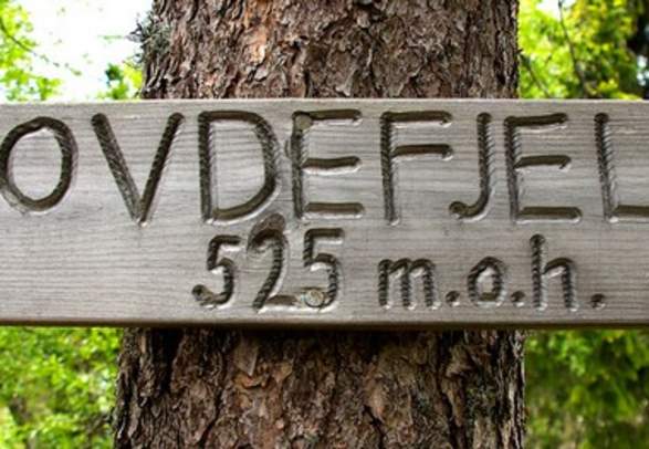 5 vandreturer i Vegårshei