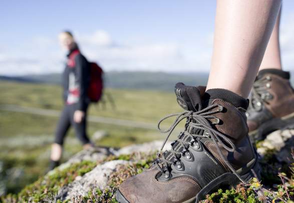 Guided hike with HovdenAktiv