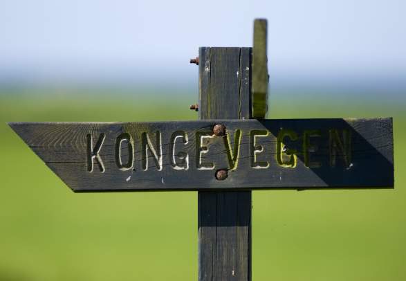 Kongevegen - the Royal road