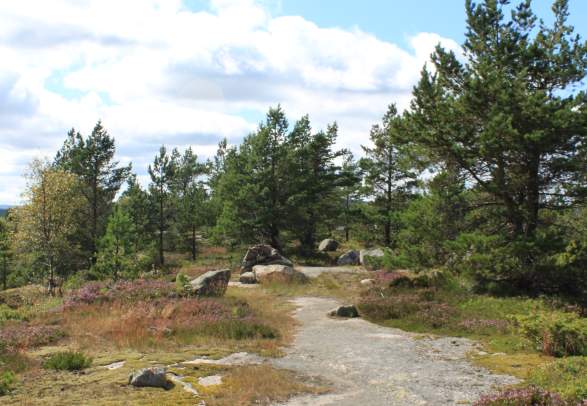 Blomliknuten hiking trail