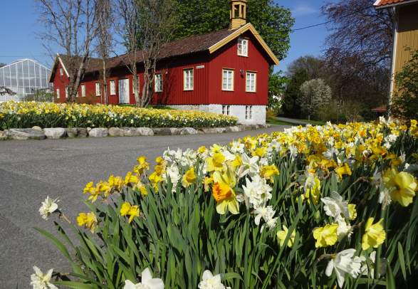 "Dømmesmoen Trail" in Grimstad