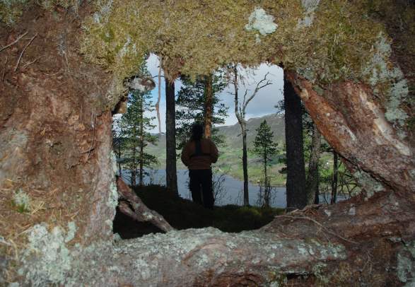 Tonatten Ål in Hallingdal