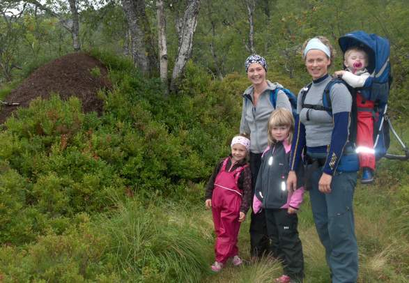 Nygard – Nystølen