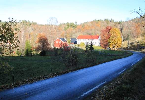 Cycling tour "The Farm" 51 km