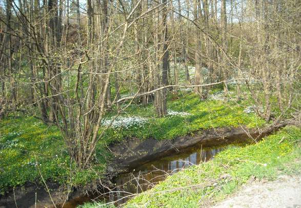 "Groosebekken" - Heritage Trail