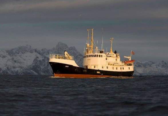 Bike and Sail - Ms Sula