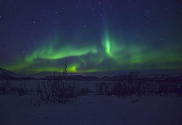 Northern Lights Safari
