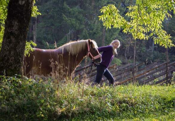 Portåsen, Wildenveys rike
