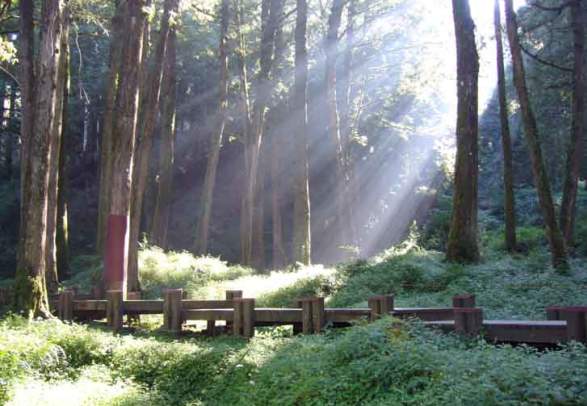 "Kjørkevegen" in Grimstad