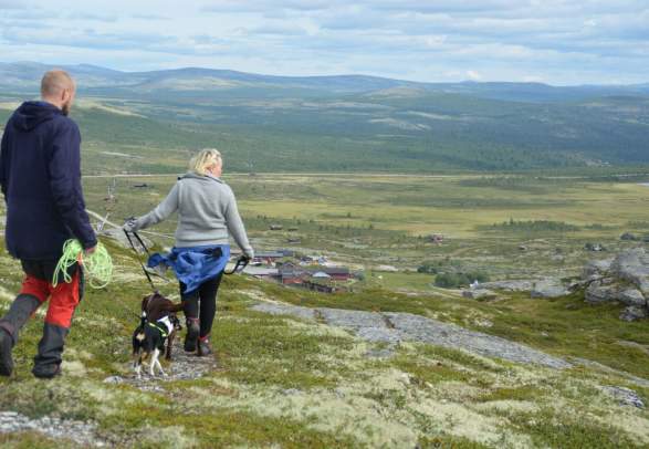 Viewpoint Flaksjølihøgda(1,5 km)