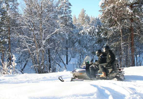 Snøscootersafari - Dagali Opplevelser