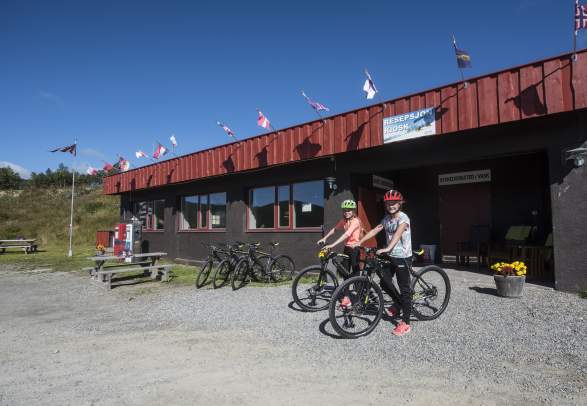 Fiestverhuur Ål in Hallingdal