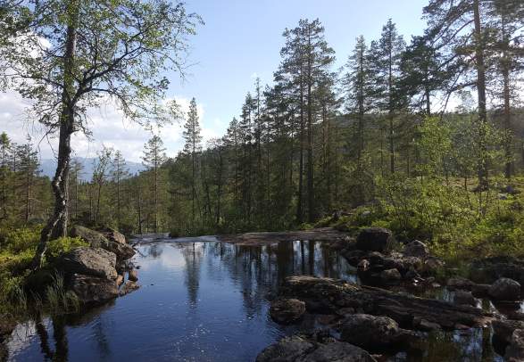 Mountains and hiking in Flå