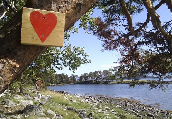 Hjertøya på langs - Hjertøytangen (1 m.o.h.)