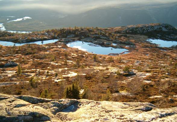 Toppentochten "Årdalsknapen" - 8 km