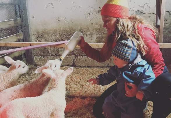 The local experience