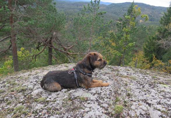 Slettåsheia hiking tour