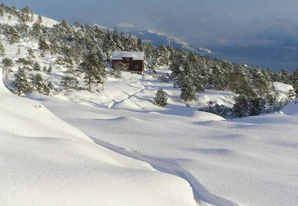 Hiking trips to Sulafjellet (776 m.a.s.l.)