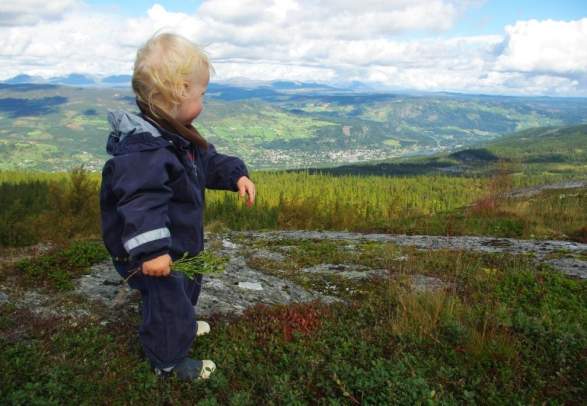 Høgebrot Ål in Hallingdal