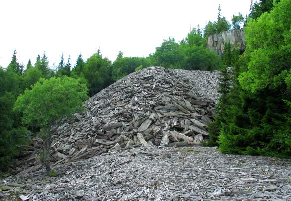 Bruinsteen van Eidsborg
