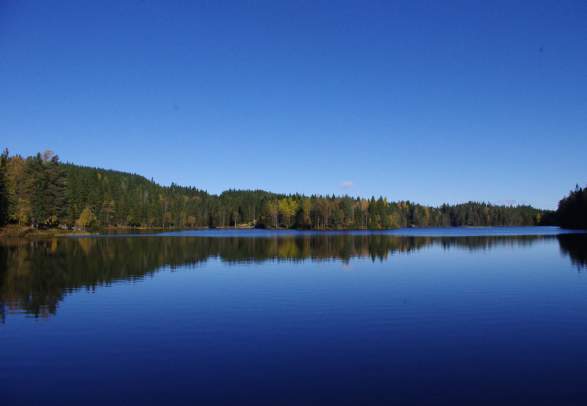 Lillomarka wilderness area
