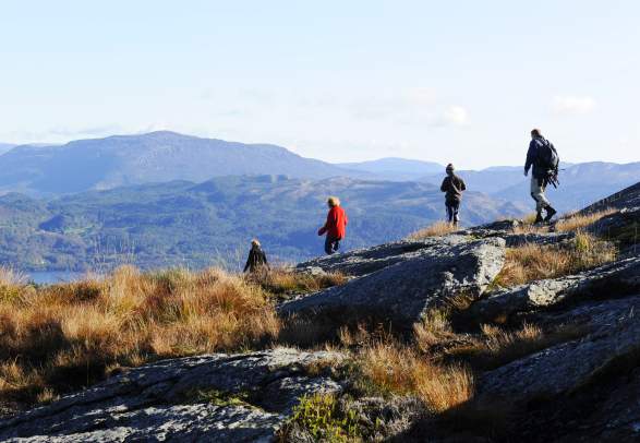 Turløype Trollvassnipen