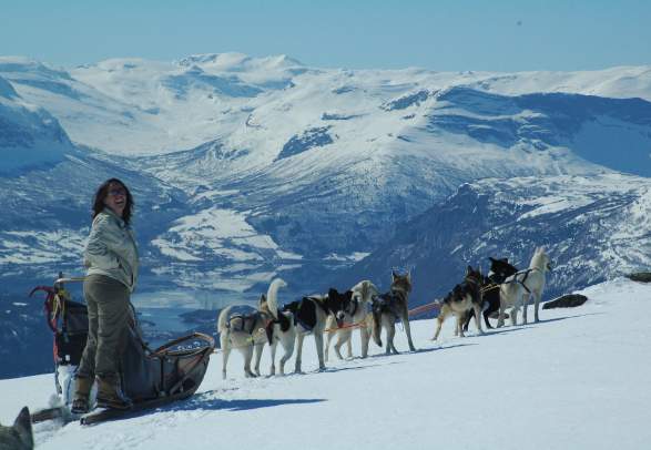 Beito Husky Tours - Dog sledding, winter